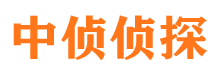 湘东市侦探调查公司